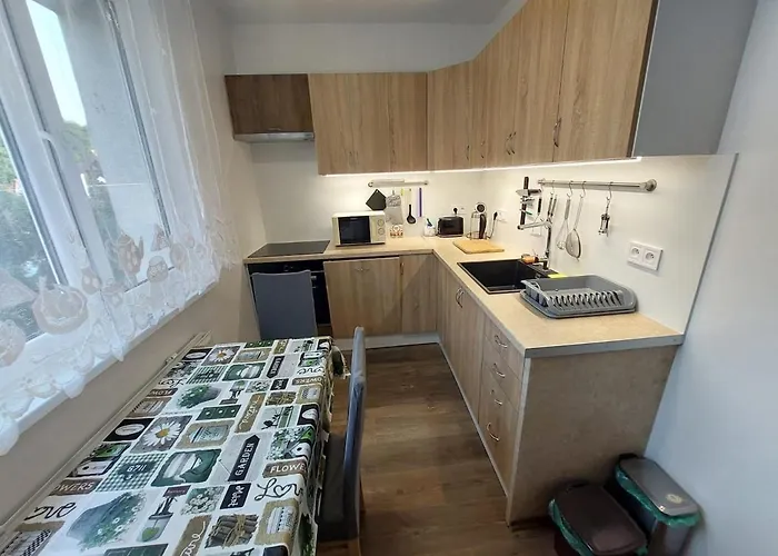 Utulne A Cenovo Dostupne Ubytovanie V Presove - Smart Tv, Wi-Fi, Voyo, Plne Vybavena Kuchyna, Pracka, Susicka, Bezplatne Parkovanie, Vyhodne Dlhodobe Pobyty アパート