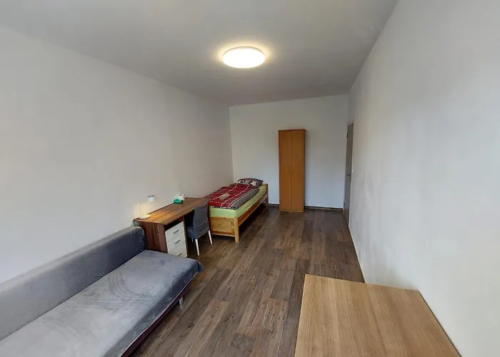 Utulne A Cenovo Dostupne Ubytovanie V Presove - Smart Tv, Wi-Fi, Voyo, Plne Vybavena Kuchyna, Pracka, Susicka, Bezplatne Parkovanie, Vyhodne Dlhodobe Pobyty アパート プレショフ