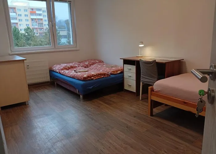 Utulne A Cenovo Dostupne Ubytovanie V Presove - Smart Tv, Wi-Fi, Voyo, Plne Vybavena Kuchyna, Pracka, Susicka, Bezplatne Parkovanie, Vyhodne Dlhodobe Pobyty アパート